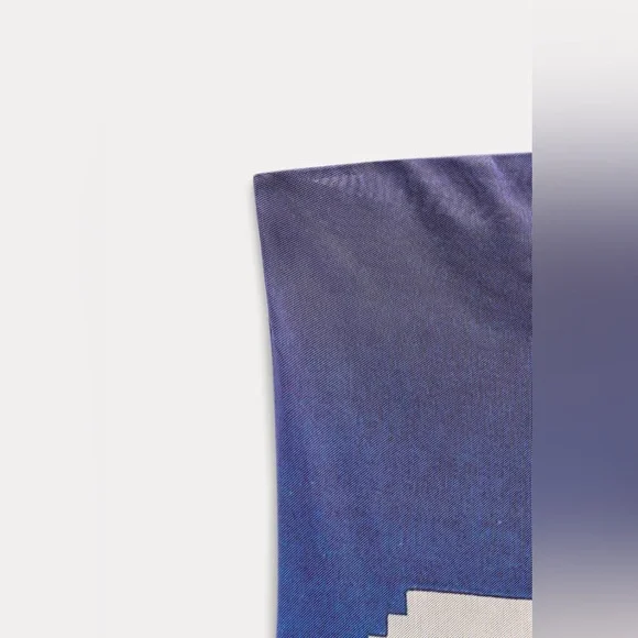 ZARA NWT RENÉ MAGRITTE PRINT TULLE DRESS SIZE SMALL - Picture 6 of 7